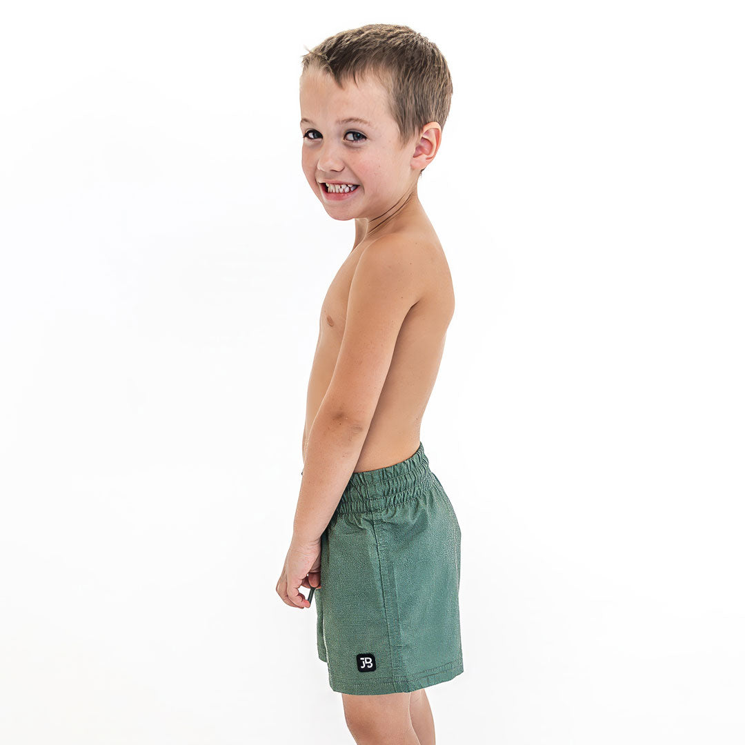 Reef Shorts (Boys), Olive / Boys 2T, alternate product image by Janela Bay
